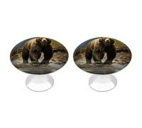 BSCKKDMN Brown Bear Boutons de placard de cuisine ronds avec vis pour la maison, le bureau, la cuisine