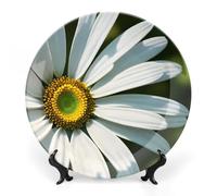 BSCKKDMN Daisy Assiette décorative en porcelaine anglaise avec support de présentation faite à la main Décoration murale pour maison, cuisine, chambre à coucher 20,3 cm