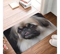 BSCKKDMN Pekingese Tapis de porte d'entrée pour intérieur et extérieur Tapis d'entrée antidérapant absorbant lavable Flanelle Tapis de sol antidérapant pour cuisine, chambre à coucher, salle de bain