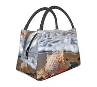 BSCKKDMN Sea And Shells Sac à déjeuner isotherme pour homme et femme, grande boîte à déjeuner étanche réutilisable pour le travail, les pique-niques, les voyages