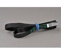 BSD Courroie 1181 H7 Hutchinson 1133mm Noir