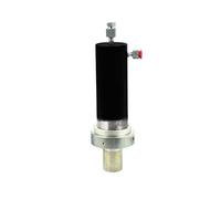 BSD Cylindre Hydralique 30T - Vérin Hydraulique, Cylindre pour Presse Hydraulique