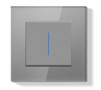 BSEED LIFE Interrupteur Mural,Interrupteur Encastrable avec Indicateur LED avec Cristal Cadre en Verre,Installation Facile,1 Gang 1 Voie 86 * 86mm Gris