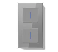 BSEEDLIFE Double Interrupteur Mural,Interrupteur Encastrable avec Indicateur LED avec Cristal Cadre en Verre,Installation Facile,Double 1 Gang 2 Voies 157 * 86mm Gris