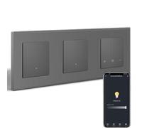 BSEEDLIFE Interrupteur intelligent WIFI avec variateur Wi-Fi, 1 bouton, 2 interrupteurs à intensité variable, compatible avec Alexa/Google Home, gris