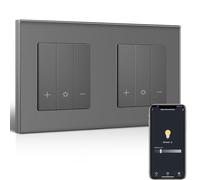 BSEEDLIFE Zigbee Double interrupteur variateur intelligent avec cadre en verre compatible avec Alexa et Google Home, interrupteur d'éclairage encastré à intensité variable pour lampes LED 240 V, gris