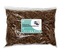 BSF Larves 1 kg (6,5 l) - Larves de mouches soldats noires séchées collations nutritives pour reptiles, rongeurs, oiseaux et poissons