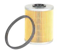 BSG BSG 65-130-010 Filtre à carburant