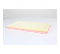 BSG, Filtre à air, compatible avec Mercedes-Benz Vito, compatible avec Mercedes-Benz Classe V, Numéro De Référence OE: A6510900051