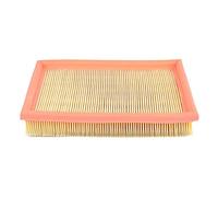 BSG BSG 65-135-005 Filtre à air