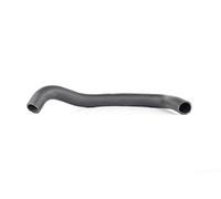 BSG, Tuyau de radiateur, inférieur, compatible avec Hyundai Accent, Numéro De Référence OE: 2541225810