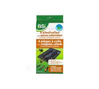 BSI - 6 Anti-Pest Glue Traps - for Spiders, Cockroaches and Other Crawling Insects, Black