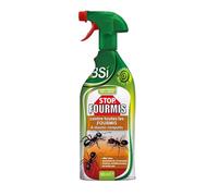 BSI - Anti-Fourmis - Stop Fourmis - Spray - Insectes Rampants - Efficace En Intérieur Et Extérieur - 800 ml, Translucide