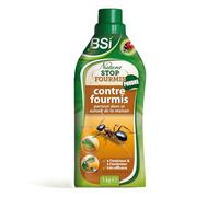 BSI - Anti-Fourmis - Terre De Diatomée - Poudre - Efficace A l'Extérieur Et Aux Abords De La Maison - Effet Immédiat - Longue Durée - 1kg