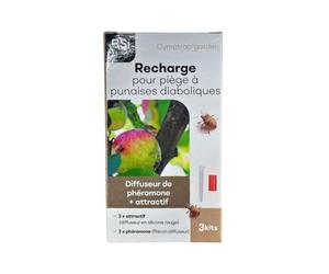 BSI - Cymatrap - Recharges pour piège à punaises diaboliques (3+3 x 8 semaines)