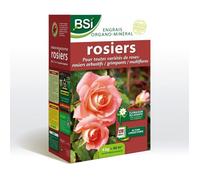 BSI - Engrais Bio - Pour Tous Les sortes De Rosiers - Floraison Éclatante - Action Longue - 4kg - 40 m²