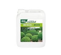 BSI - Engrais - Buis - Minéral - Liquide - Pour Toutes Les Espèces - Avec Oligo-Eléments - Solubles Dans l'Eau - 5L, Translucide