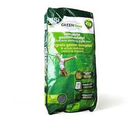 BSI - Engrais Gazon - Greentime - Fertilise Le Gazon - Jusqu'à 200m² - 20kg