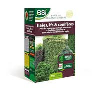 BSI Engrais organo-minéral bio pour feuillages persistants et conifères longue durée 4 kg (40 m²)