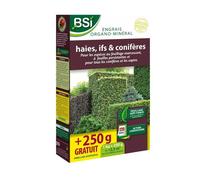 BSI - Engrais Organo-Minéral - Bio - Haies, Conifères - Pour Feuillages Persistants Et Conifères - 1Kg - Plus 250g gratuit - 12,5m²