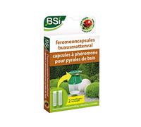 BSI - Recharge Piège A Phéromones - pour Pyrale du Buis - Agit Jusqu'à 3 Mois - 2 Capsules