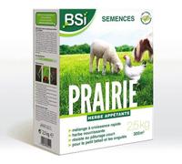 BSI - Semences De Gazon - Prairie - Tres Haute qualité - Grande Surface - Jusqu'a 300m² - 2,5Kg