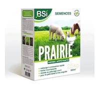 BSI - Semences de Gazon - Prairie - Haute qualité - Grande Surface -jusqu'à 300m² - 2,5Kg, Beige