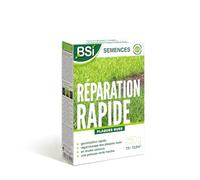 BSI - Semences De Gazon - Réparation Rapide - Avec Enrobage Protecteur - Haute qualité - Jusqu'à 12,5 m² - 250g, Beige