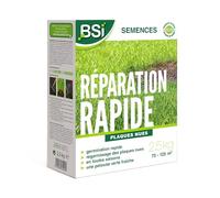 BSI - Semences De Gazon - Réparation Rapide - Avec Enrobage Protecteur - Très Haute qualité - Jusqu'à 125m² - 2,5Kg