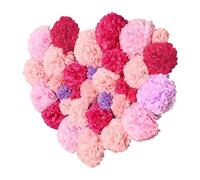 BSITSSS 16 PCS Ronde Fleurs Papier, Multicolore Vives Fleur en Papier, Pompon Papier de Soie, Classique Deco Mariage, Decoration Bapteme pour Wedding Party Anniversaire Chambre Maison Fete