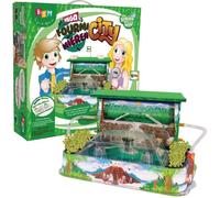 BSM – Le Royaume des Fourmis