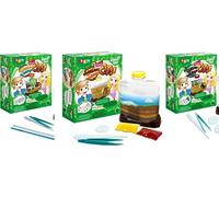 BSM - Lot de 3 Jeux Scientifique : Mini Fourmis City + Mini Lombric city + Mini Escargot City - Jeu Ludique pour enfant - Élevage Escargot - Ferme à Fourmis - Ferme à vers de terre - WS 929/3