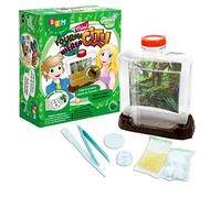 Bsm - WS 925 - Jeu Scientifique - Mini Fourmi City
