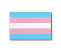 BSMY Poster LGBT transgenre arc-en-ciel avec drapeau de la fierté, le mois de la fierté, l'égalité, la diversité - Impression sur toile - 40 x 60 cm