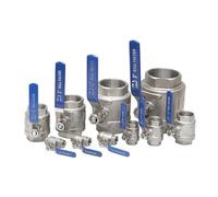 BSPT Female Stainless Steel SS304 2P Full Port Ball Valve with Vinyl Handle Thread Valves 1/4" 3/8" 1/2" 3/4" 1" 1-1/4" 1-1/2"(5 pac,2")