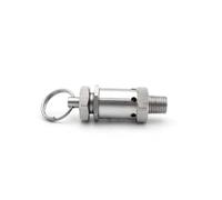 BSPT NPT 1/4 "1/2" filetage mâle 0.5-10 Bar échappement 304 acier inoxydable sanitaire Mini ressort soupape de sécurité for compresseurs d'air(1/4",NPT,10 Bar Fixed)