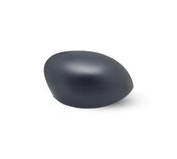 BSSTORE® Coque de rétroviseur noire compatible avec C2 | C3 | PICASSO | 206 |1007 (droite - côté passager)