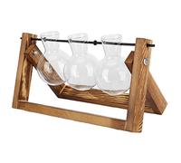 BSTCAR Terrarium pour Plantes avec Support en Bois, Vase en Verre, Jardinière de Bureau pour la Maison, Le Bureau, la Décoration pour Plantes Succulentes en Mousse (Casier rétro + Trois Bouteilles)