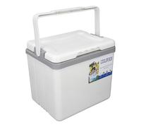 BSTiltion Glacière portable multifonction 6 L pour garder les aliments et les boissons au frais pour les activités de plein air