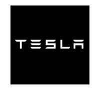 BSWNSJZT 2 Pièces Projecteur de Logo à éclairage pour portières de Voiture pour Tesla Model X 2016-2025, Projecteur de Porte de Voiture Accessoires d'éclairage