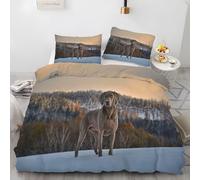 BSYYZQC Housse de Couette 200x200 Braque De Weimar Parure de Lit 200x200 Prairie Housses de Couettes Imprimé en Microfibre avec Fermeture Éclair et 2 Taies d'oreiller 65x65 cm