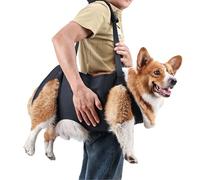 BT Bear Écharpe de transport pour chien âgé - Harnais de soutien et de rééducation pour chiens âgés - escaliers vers le haut et vers le bas - Arthrite et blessures (M)