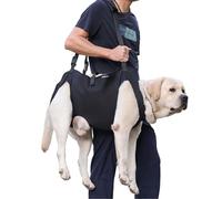 BT Bear Harnais de transport pour chien âgé - Harnais de soutien et de rééducation pour chien âgé, escaliers montants et descendants, arthrite et blessures (XL)
