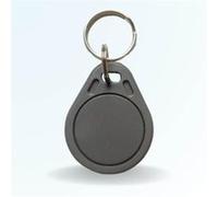 BT SECURITY Badge porte-clé rfid em 11 G