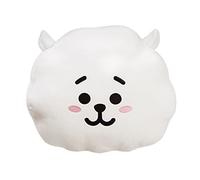 BT21 Rj Cushion 12.5In