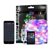 BTF-LIGHTING RGB IC WS2812B Guirlande lumineuse intelligente USB 10m 100 pixels Fil transparent Musique Bluetooth Mesh APP IR Télécommande DIY Contrôle Synchronisation Couleur Chasing IP65 DC5V