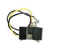 BTFWM Bobine d'allumage de tronçonneuse 61 pièces rechange type ancien Pièce détachée pour moteur de tondeuse à gazon(1pcs)