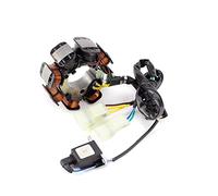 BTFWM Bobine de stator de moteur magnéto, for TRX250 TM/TE FourTrax 250 ES 2005-2010 TRX 250 TM/TE Recon 250 TM/ES Charge du générateur Bobine d'allumage