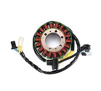 BTFWM Bobine de stator générateur magnéto pièces moteur moto, for VZ800 VZ 800 Marauder 1997-2004 32101-48E00 Bobine d'allumage