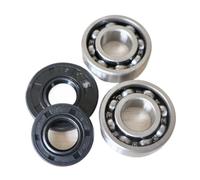 BTFWM Kit de roulement à Billes rainuré de Joint d'huile de Vilebrequin, for tronçonneuse 5200 52CC Jeu de Joints d'huile pour tronçonneuse